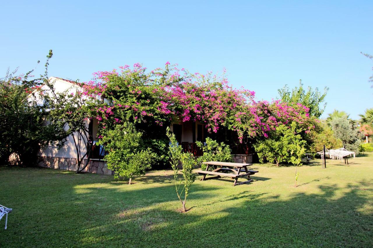 Nerissa Hotel ชิลารึ ภายนอก รูปภาพ